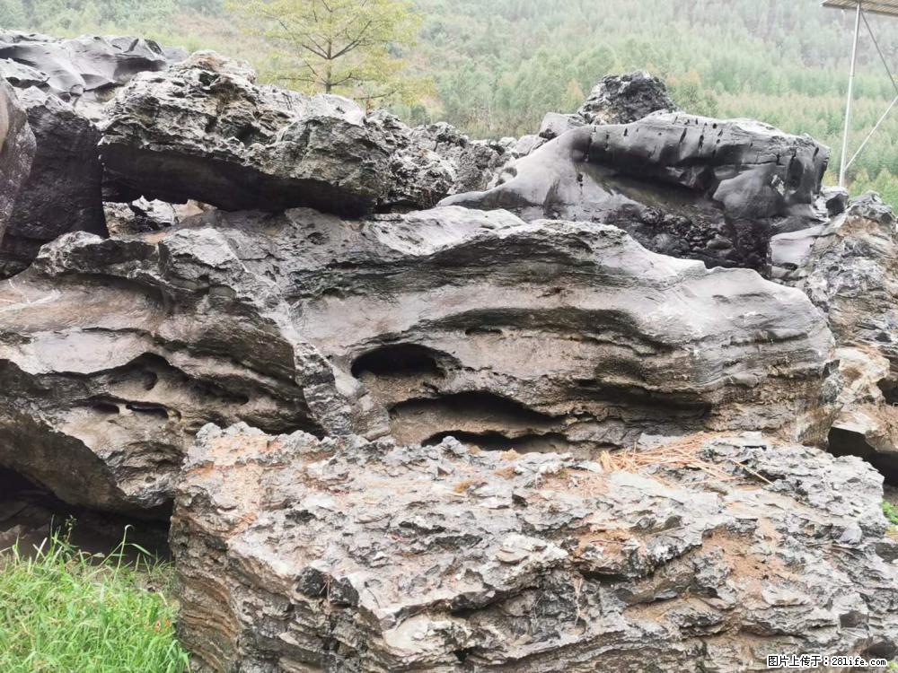风景石、假山石大量有货，有需要的欢迎联系 - 新手上路 - 抚州生活社区 - 抚州28生活网 fuzhou.28life.net