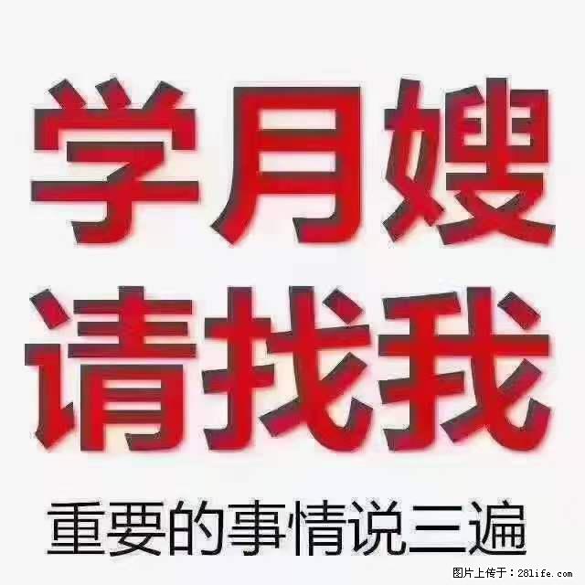 为什么要学习月嫂，育婴师？ - 新手上路 - 抚州生活社区 - 抚州28生活网 fuzhou.28life.net