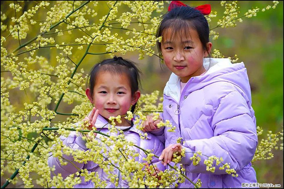 【春天，广西桂林灌阳县向您发出邀请！】米珠山前有片山苍子花在飘香 - 游山玩水 - 抚州生活社区 - 抚州28生活网 fuzhou.28life.net