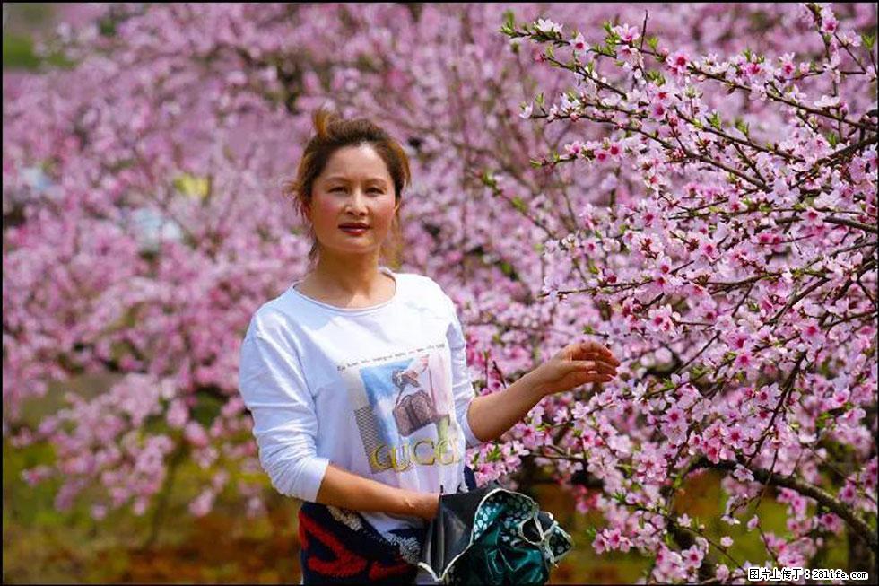 【春天，广西桂林灌阳县向您发出邀请！】官庄村有个醉美的桃花园 - 游山玩水 - 抚州生活社区 - 抚州28生活网 fuzhou.28life.net