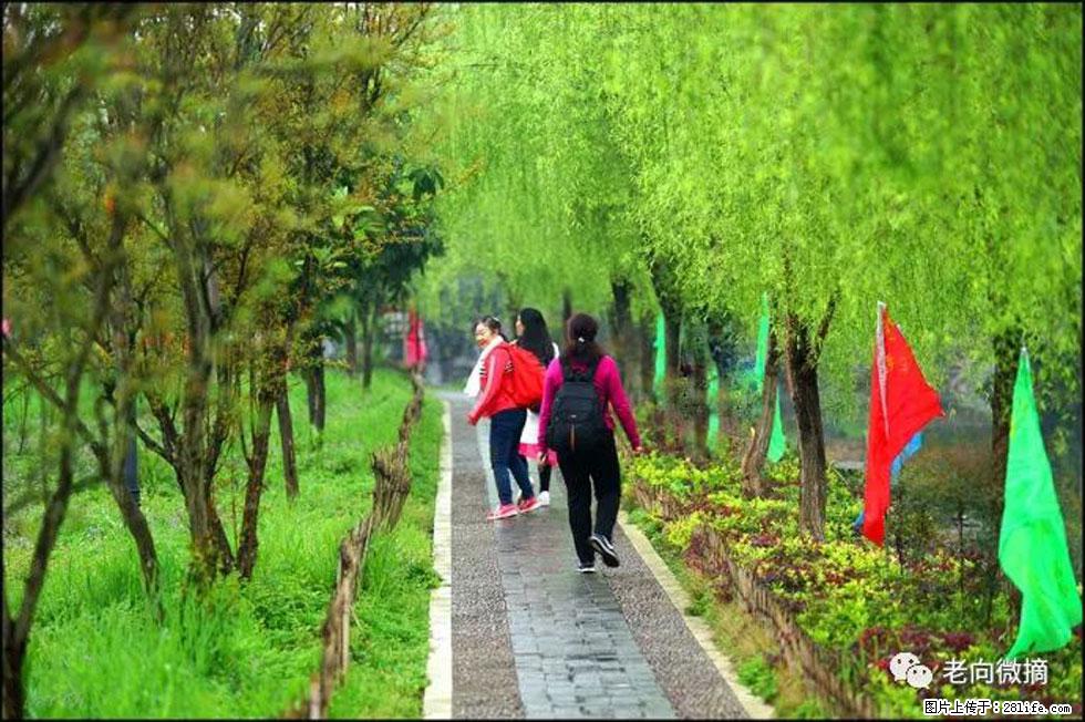 【春天，广西桂林灌阳县向您发出邀请！】江口老街又逢春 - 游山玩水 - 抚州生活社区 - 抚州28生活网 fuzhou.28life.net