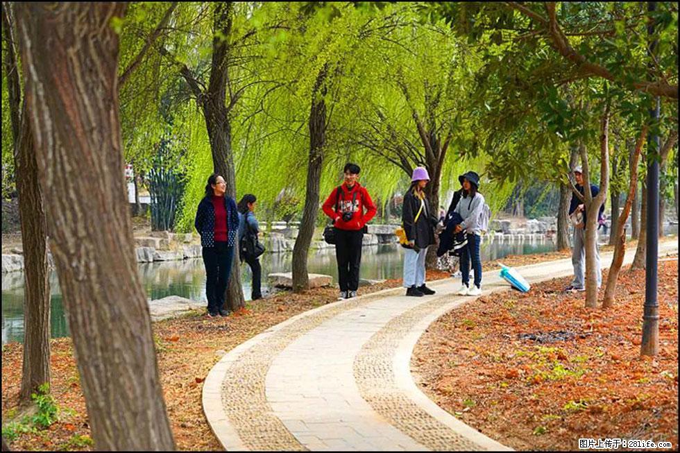 【春天，广西桂林灌阳县向您发出邀请！】江口老街又逢春 - 游山玩水 - 抚州生活社区 - 抚州28生活网 fuzhou.28life.net