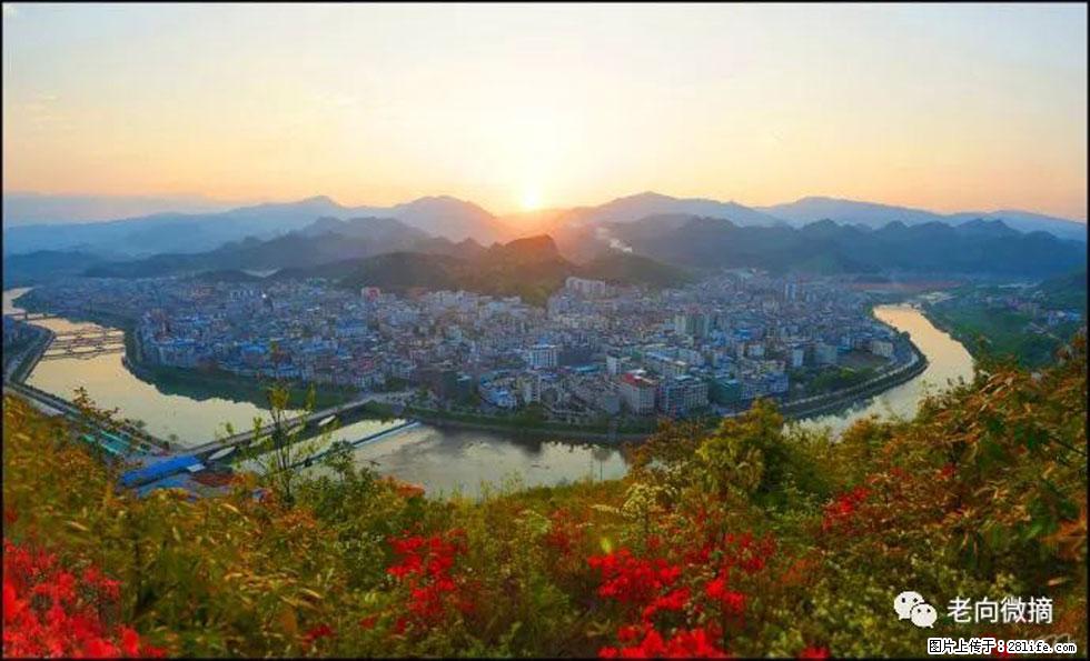 【春天，广西桂林灌阳县向您发出邀请！】登麒麟山，相约映山红 - 游山玩水 - 抚州生活社区 - 抚州28生活网 fuzhou.28life.net