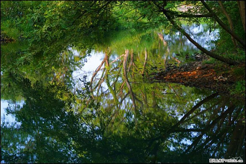 【春天，广西桂林灌阳县向您发出邀请！】熊家寨湿地公园 - 游山玩水 - 抚州生活社区 - 抚州28生活网 fuzhou.28life.net
