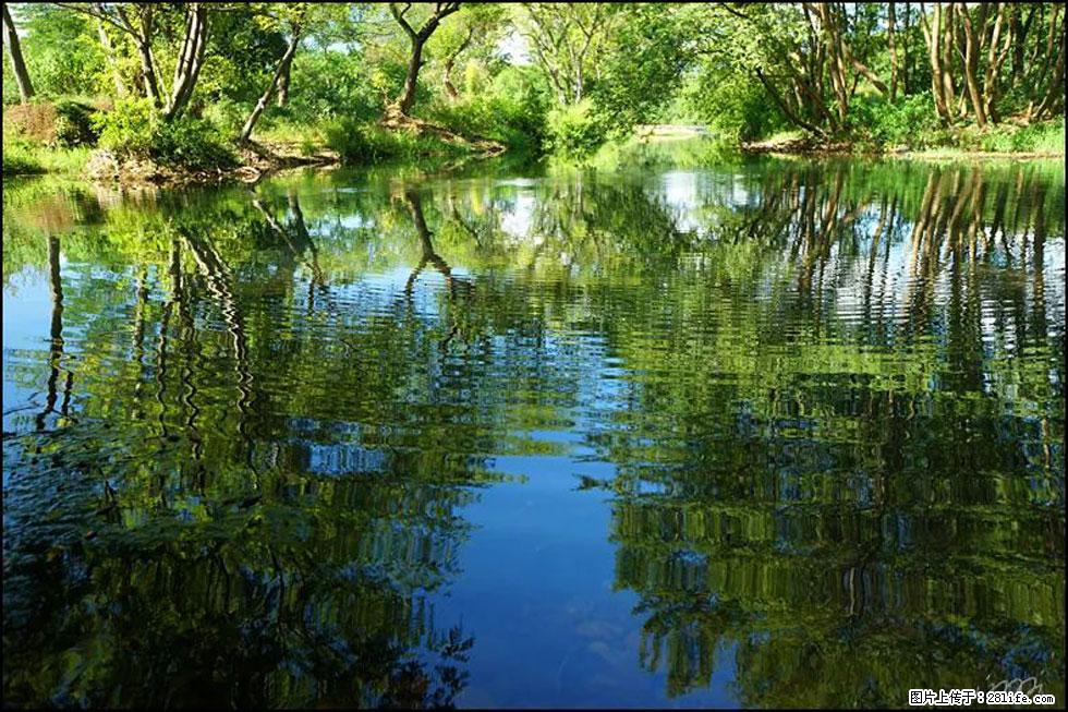 【春天，广西桂林灌阳县向您发出邀请！】熊家寨湿地公园 - 游山玩水 - 抚州生活社区 - 抚州28生活网 fuzhou.28life.net