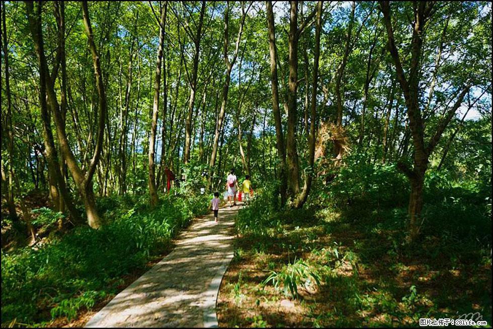 【春天，广西桂林灌阳县向您发出邀请！】熊家寨湿地公园 - 游山玩水 - 抚州生活社区 - 抚州28生活网 fuzhou.28life.net