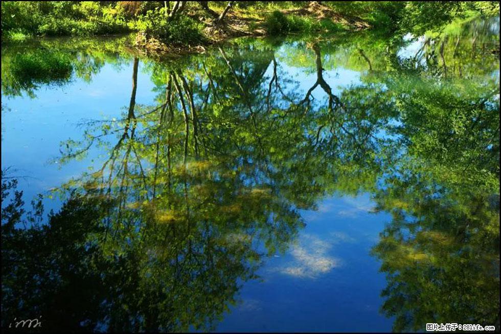 【春天，广西桂林灌阳县向您发出邀请！】熊家寨湿地公园 - 游山玩水 - 抚州生活社区 - 抚州28生活网 fuzhou.28life.net