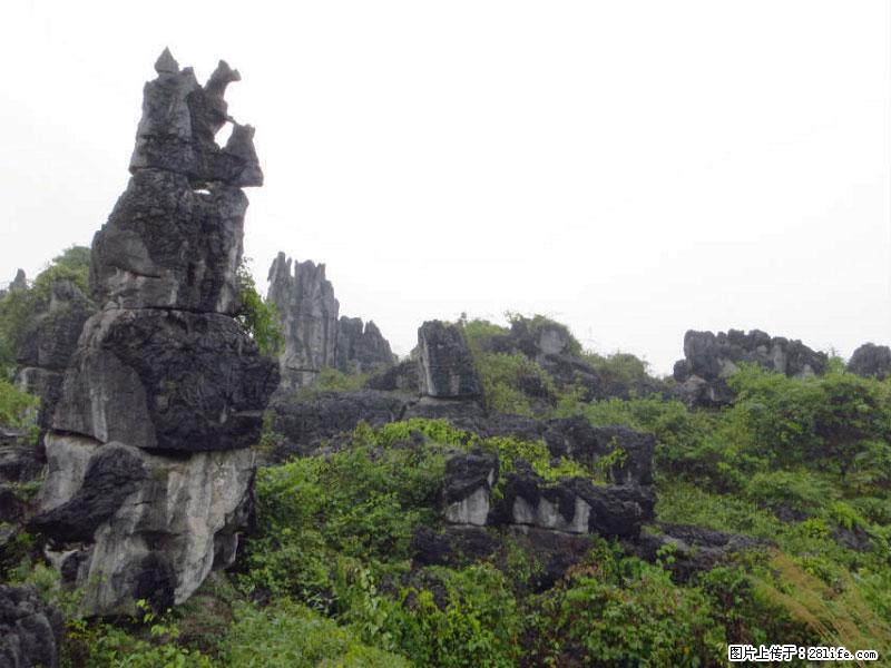 桂林旅游名城景点：灌阳文市石林 - 游山玩水 - 抚州生活社区 - 抚州28生活网 fuzhou.28life.net