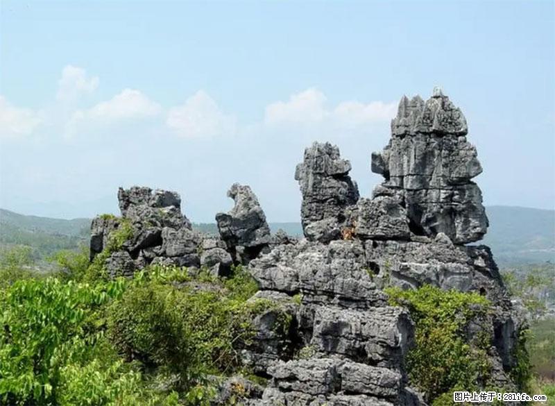 桂林旅游名城景点：灌阳文市石林 - 游山玩水 - 抚州生活社区 - 抚州28生活网 fuzhou.28life.net