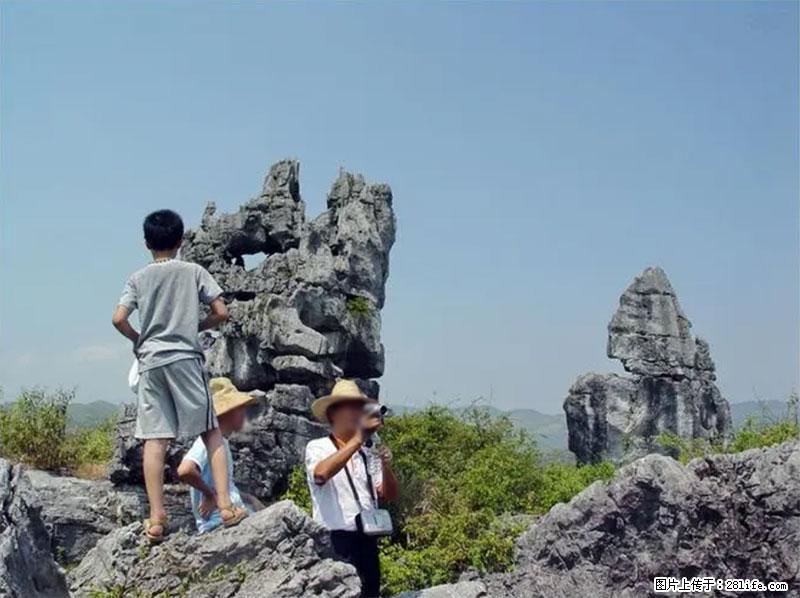 桂林旅游名城景点：灌阳文市石林 - 游山玩水 - 抚州生活社区 - 抚州28生活网 fuzhou.28life.net