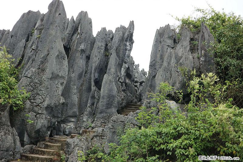 桂林旅游名城景点：灌阳文市石林 - 游山玩水 - 抚州生活社区 - 抚州28生活网 fuzhou.28life.net