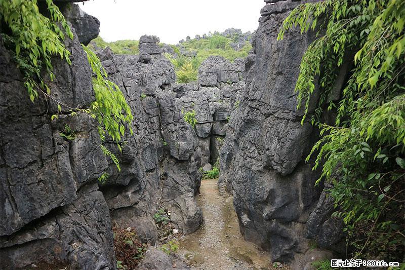 桂林旅游名城景点：灌阳文市石林 - 游山玩水 - 抚州生活社区 - 抚州28生活网 fuzhou.28life.net