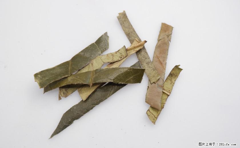 苦丁茶有哪些功效和作用 - 生活百科 - 抚州生活社区 - 抚州28生活网 fuzhou.28life.net