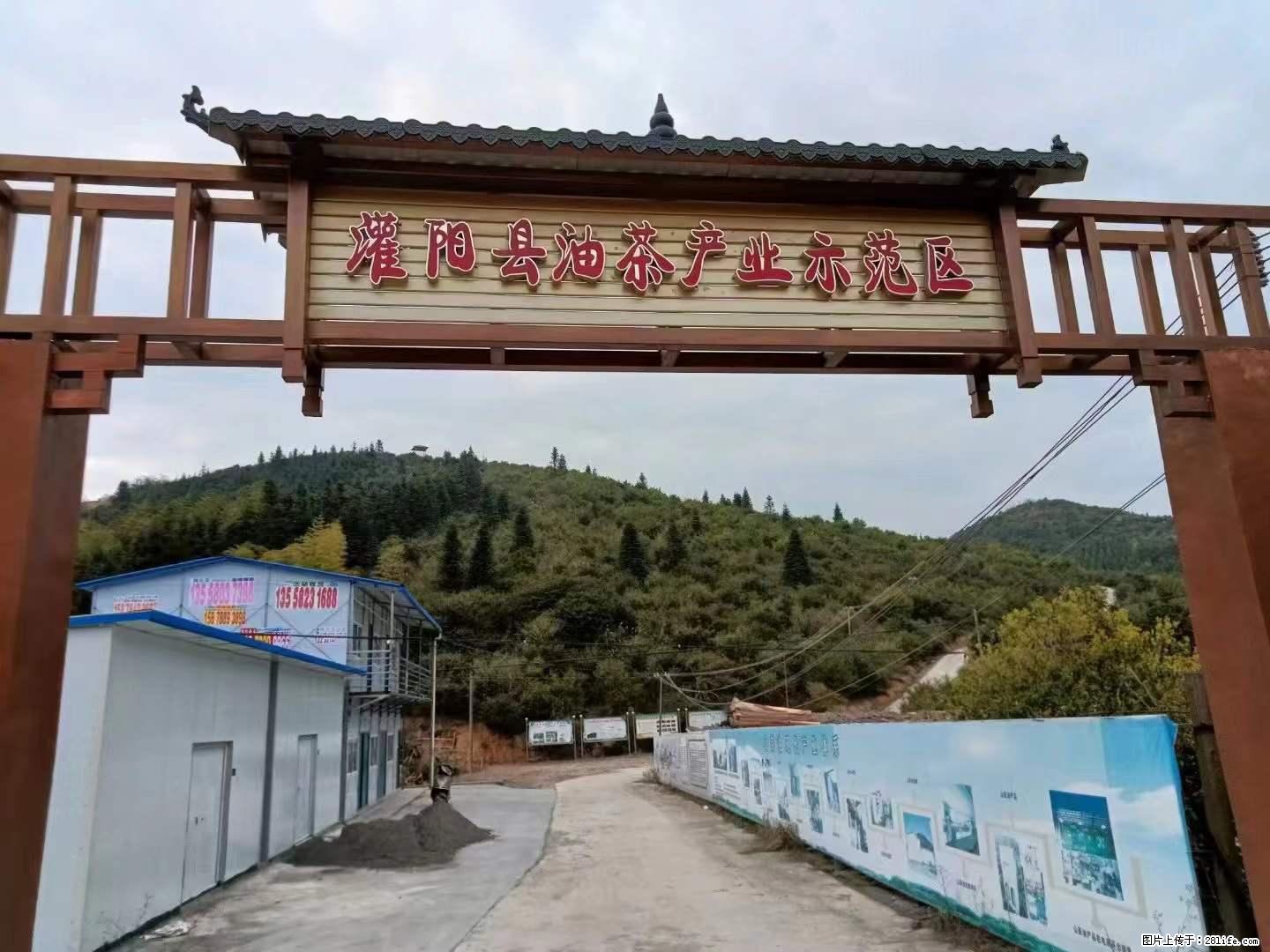 【灌阳县油茶产业示范区】一个有着充实的精神生活的人，对待身外之物自会有一种淡泊的态度 - 美食天地 - 抚州生活社区 - 抚州28生活网 fuzhou.28life.net