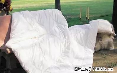 被子有异味？只要这样做，比晒太阳还强100倍！ - 家居生活 - 抚州生活社区 - 抚州28生活网 fuzhou.28life.net