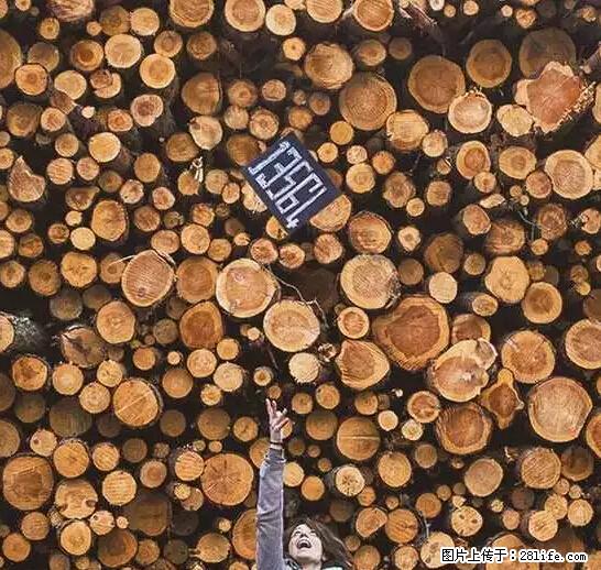 辞掉工作周游世界？现在他们在洗厕所…… - 游山玩水 - 抚州生活社区 - 抚州28生活网 fuzhou.28life.net