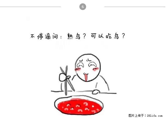 千万不要和这9种哈卵一起吃火锅! - 美食天地 - 抚州生活社区 - 抚州28生活网 fuzhou.28life.net