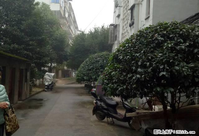 出租！四小旁 安全停车 两室一厅 家电齐全 阳光好 - 房屋出租 - 房屋租售 - 抚州分类信息 - 抚州28生活网 fuzhou.28life.net