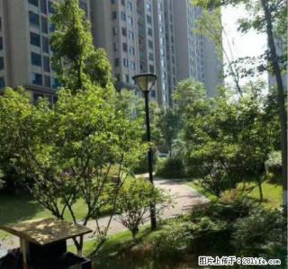 天玺一品 一室一厅 精装 家具家电齐全 室内干净温馨 - 抚州28生活网 fuzhou.28life.net