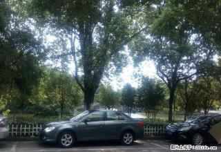 十一小旁 栖贤园 精装修 家具家电齐全 回家就像度假！ - 抚州28生活网 fuzhou.28life.net