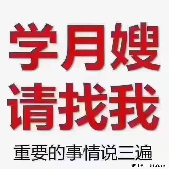 【招聘】月嫂,上海徐汇区 - 职场交流 - 抚州生活社区 - 抚州28生活网 fuzhou.28life.net