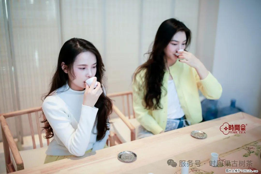 时间果百年古树龙珠普洱生茶 - 购物交流 - 抚州生活社区 - 抚州28生活网 fuzhou.28life.net
