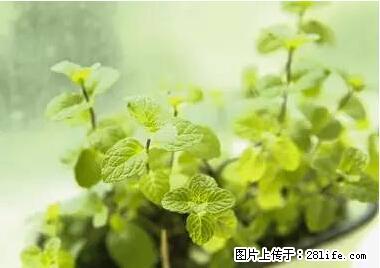 晕车、脚气、牙齿变黄、皮肤粗糙？学会这些三分钟搞定！ - 抚州生活资讯 - 抚州28生活网 fuzhou.28life.net