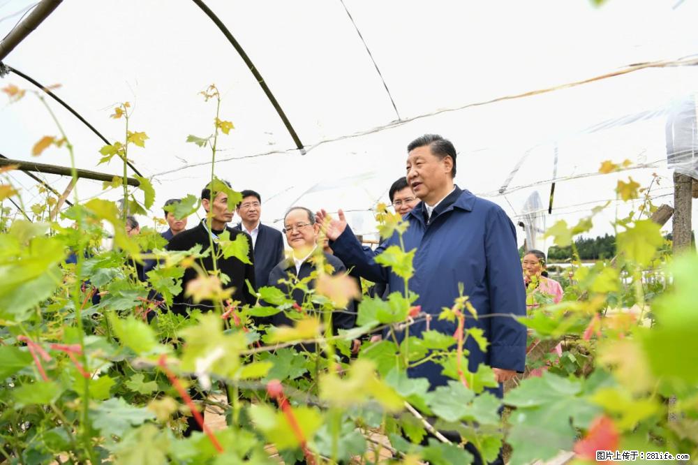 习近平赴广西考察调研 - 抚州生活资讯 - 抚州28生活网 fuzhou.28life.net