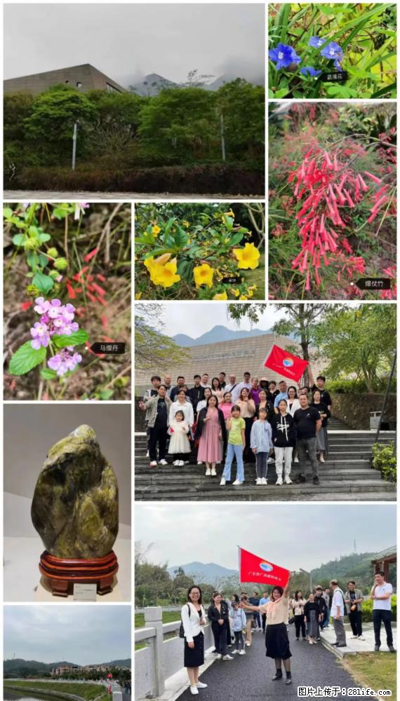 “粤灌文化 美好生活”油茶文化主题活动在广东深圳成功举办 - 抚州生活资讯 - 抚州28生活网 fuzhou.28life.net