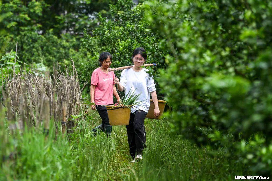 全网追的“扁担女孩”，找了一份暑假工，时薪12元 - 抚州生活资讯 - 抚州28生活网 fuzhou.28life.net