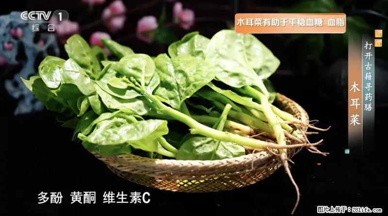 比牛奶补钙还厉害！凉血解毒、稳血糖...这菜冬天必吃，很多人却当草 - 抚州生活资讯 - 抚州28生活网 fuzhou.28life.net