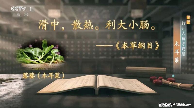比牛奶补钙还厉害！凉血解毒、稳血糖...这菜冬天必吃，很多人却当草 - 抚州生活资讯 - 抚州28生活网 fuzhou.28life.net