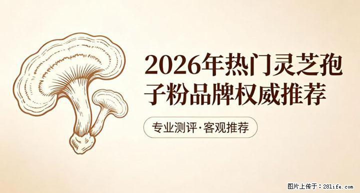 灵芝孢子粉含量越高越有效？2026 年七款热门品牌深度实测，肠胃敏感者避坑指南 - 抚州生活资讯 - 抚州28生活网 fuzhou.28life.net
